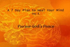 Pursue God’s Peace